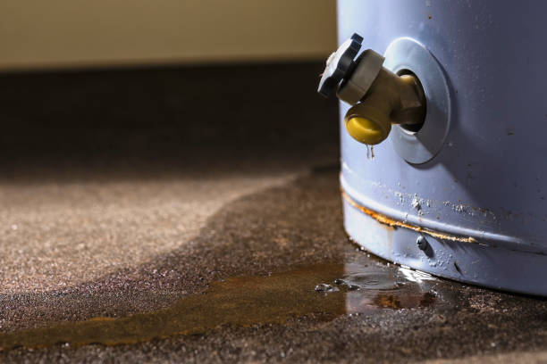 Best 24/7 water damage repair  in Bloomfield, MO