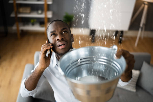 Carpet water damage restoration in MO